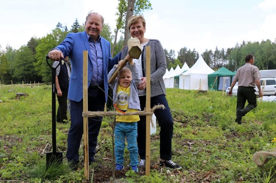 Girionyse – Šeimų ąžuolyno pradžia