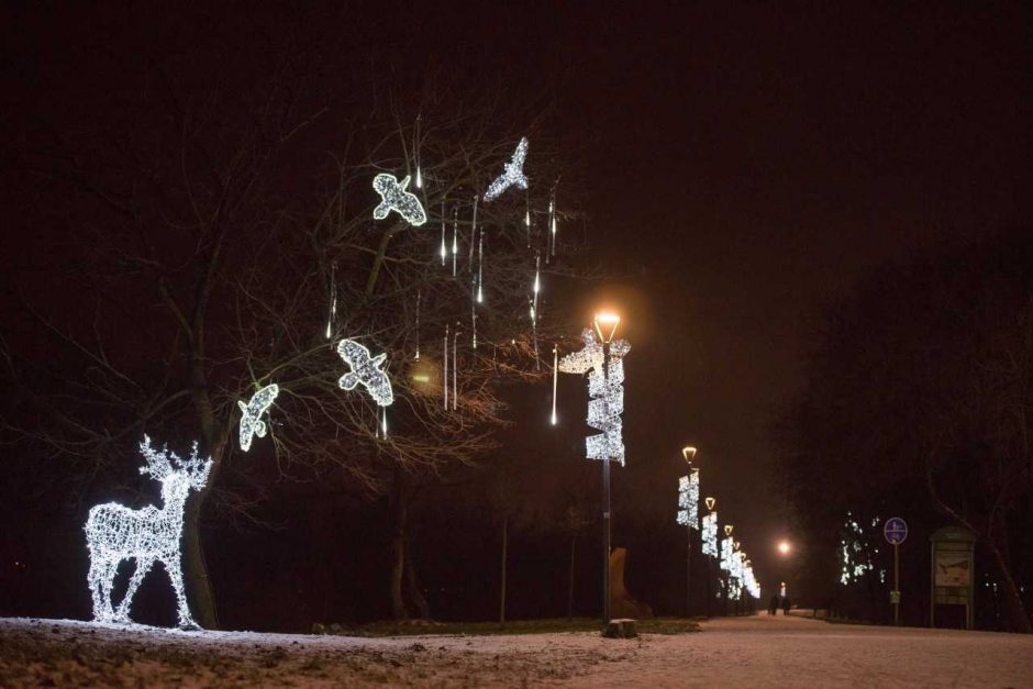 Kauniečius vilioja kalėdinė pasaka Santakos parke