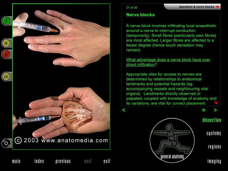  Virtualūs skrodimai: programa, skirta „pjaustyti“ žmogaus kūną