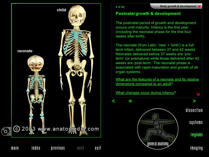  Virtualūs skrodimai: programa, skirta „pjaustyti“ žmogaus kūną