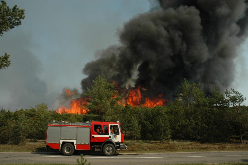 Bus renkamos lėšos gaisro nuniokotai Kuršių nerijai sutvarkyti