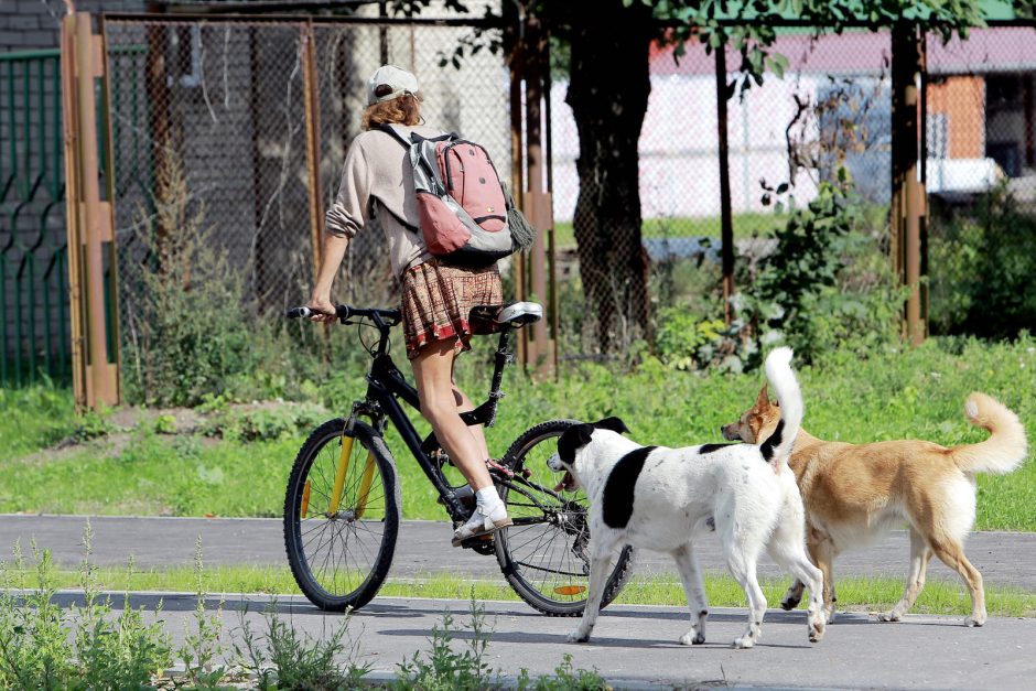 Uostamiesčio gyventojams kaimynai kelia siaubą