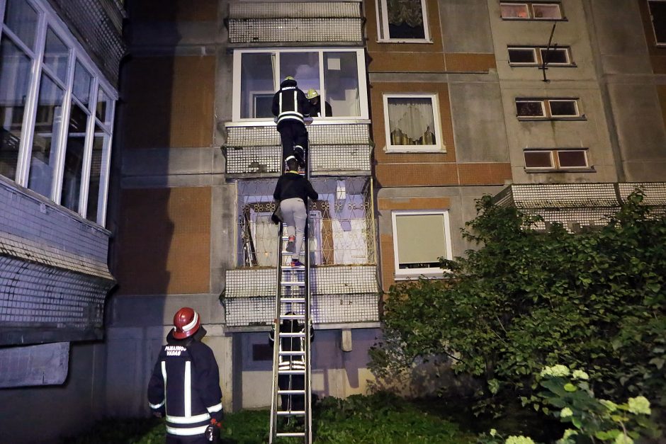 Vasarą Klaipėdoje užbaigė klyksmai