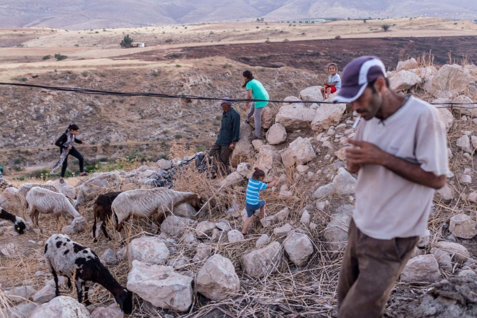 Trys fotografo savaitės – dykumoje su Palestinos beduinais