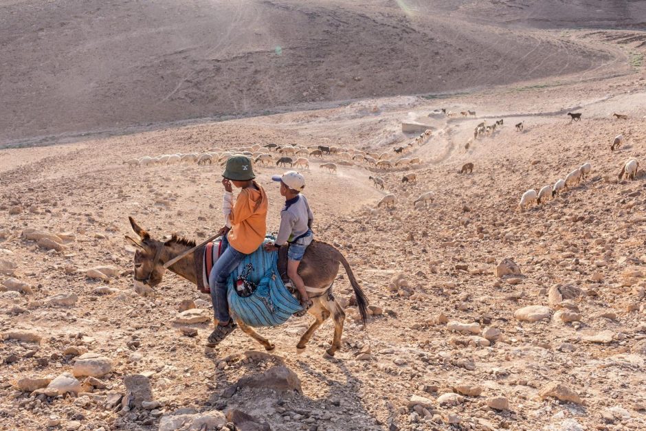 Trys fotografo savaitės – dykumoje su Palestinos beduinais