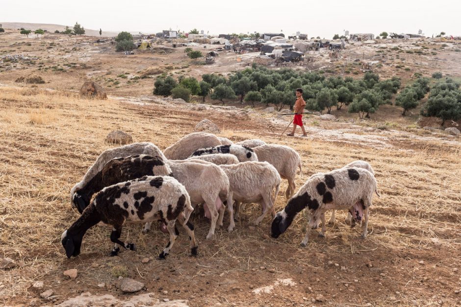 Trys fotografo savaitės – dykumoje su Palestinos beduinais