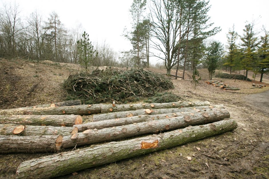 2016-ieji Kaune: permainos, jubiliejai, netektys (apžvalga)