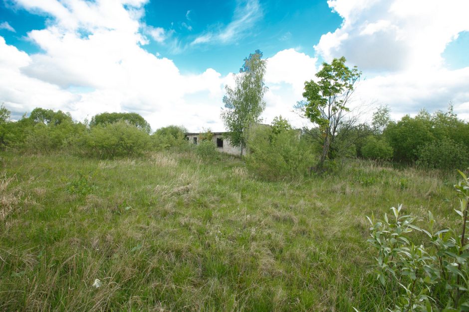 S. Dariaus ir S. Girėno aerodromas laukia permainų