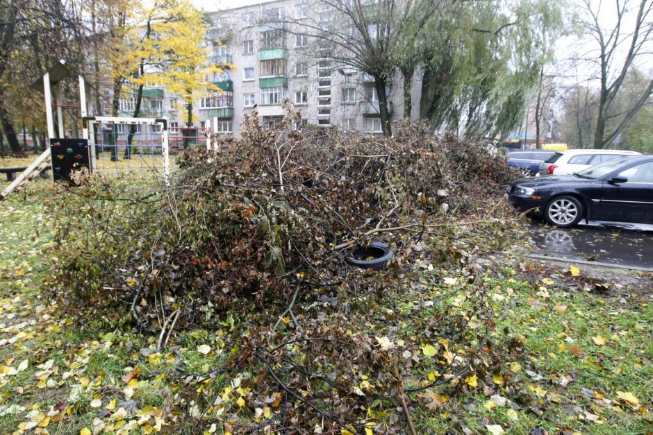 Gyventojus papiktino paliktos šakos