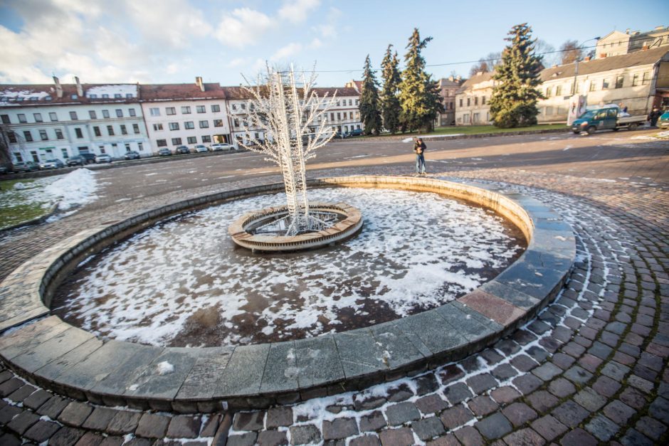 Steigiamojo Seimo aikštės vingrybės