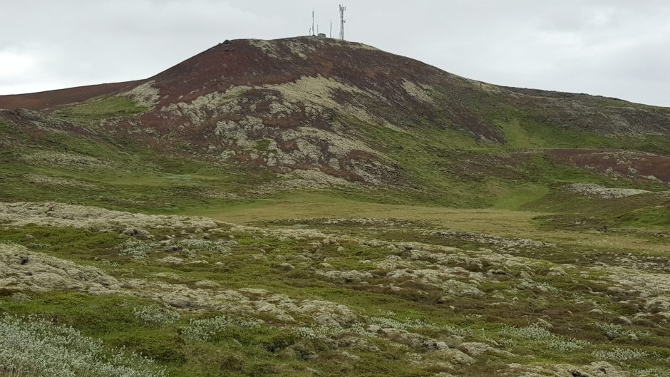 Islandijoje gelbėjo šeimą, bet dabar grįžti neketina