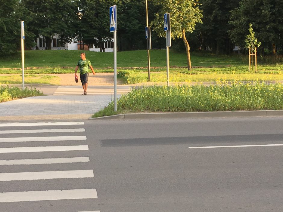 Kauniečiai juokiasi: Šiaurės prospekte sužėlė rapsai