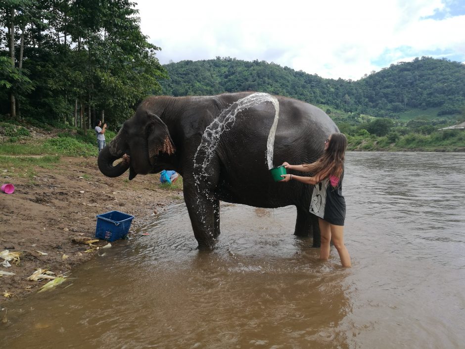 Meilė gyvūnams atvedė į Tailandą