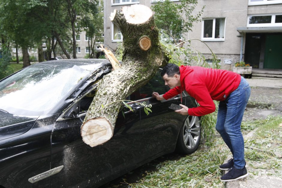 Skaičiuojami nuostoliai: medis suniokojo 22 tūkst. eurų kainavusį BMW