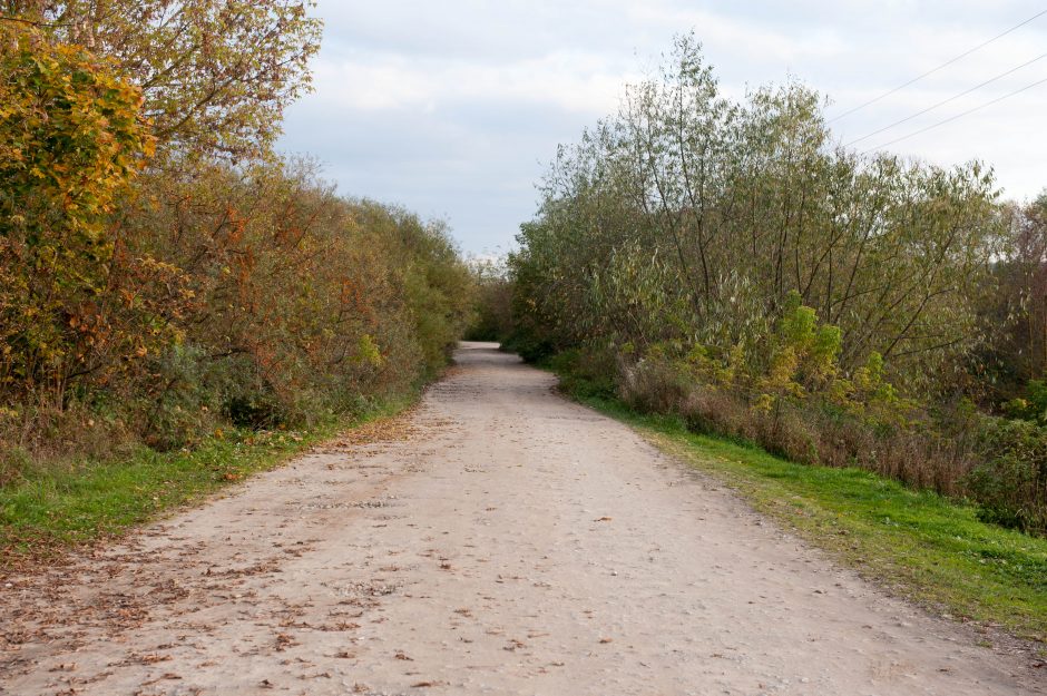 Draustinyje atsiras ir apžvalgos aikštelė