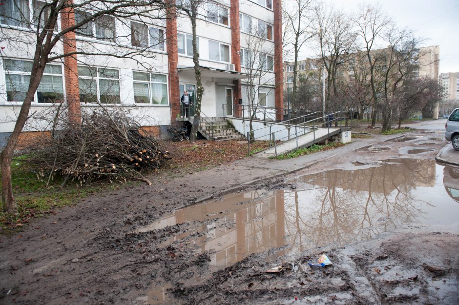 Nemokamos sriubos gali kulniuoti ir purvynais?