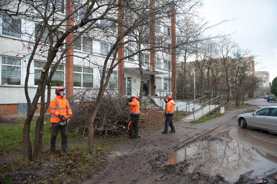 Nemokamos sriubos gali kulniuoti ir purvynais?