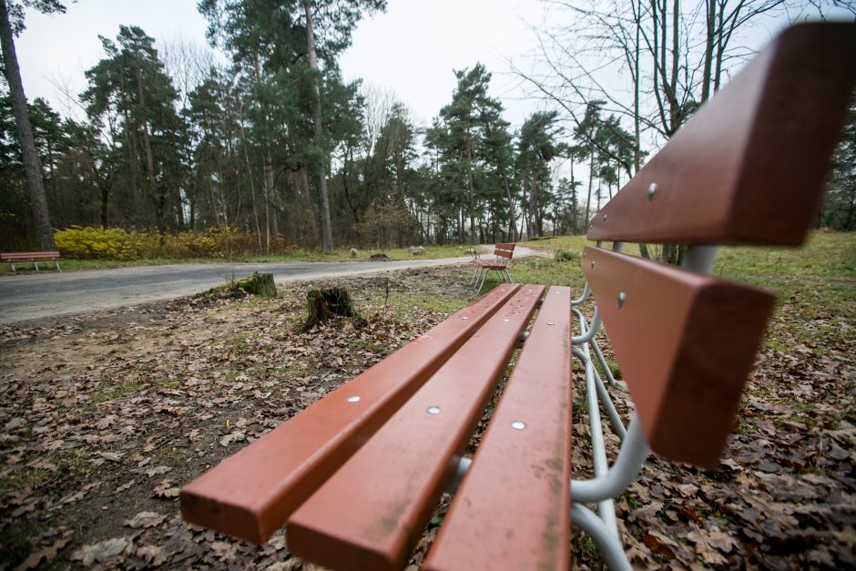 Panemunės šilo pertvarkos: kokie darbai padaryti?