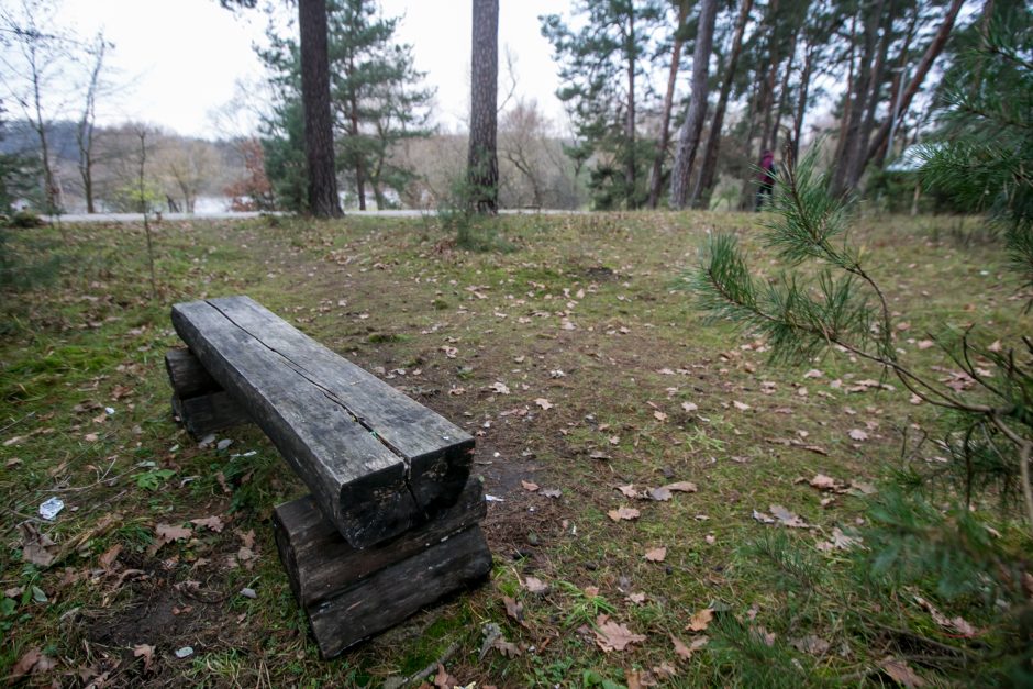 Panemunės šilo pertvarkos: kokie darbai padaryti?