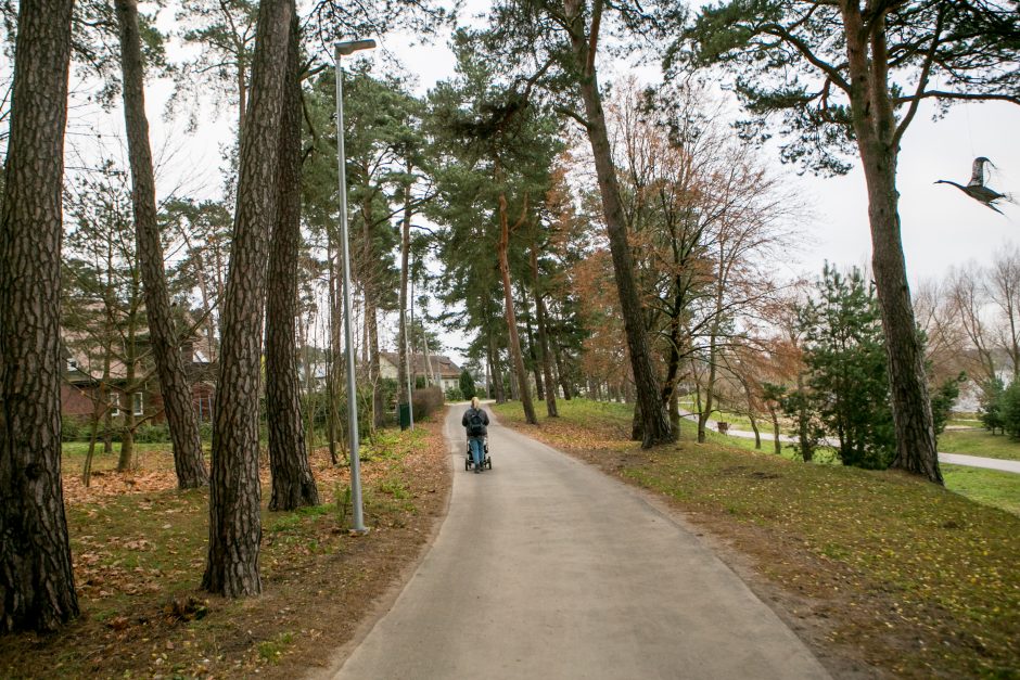 Panemunės šilo pertvarkos: kokie darbai padaryti?