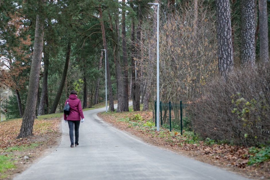 Panemunės šilo pertvarkos: kokie darbai padaryti?