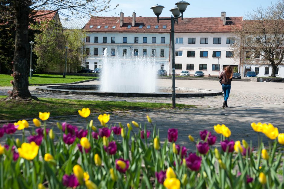 Fontanai pradeda sezoną: neveiks tik vienas