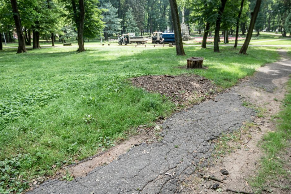 Kaune nesibaigia parkų tvarkymo vajus – ateina ir Ramybės parko eilė