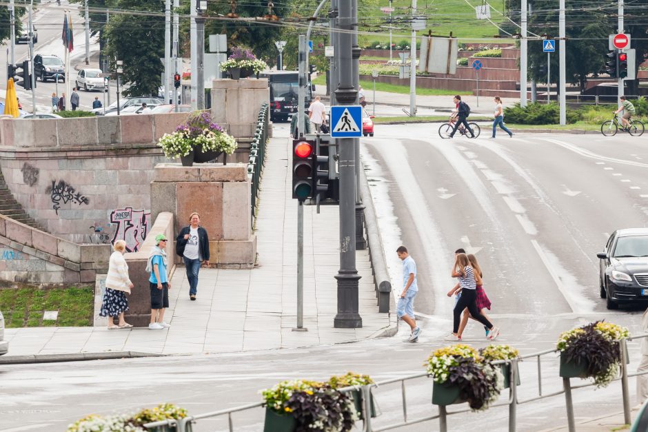 Kitą savaitę Vilnių papuoš dar daugiau įvairiaspalvių žiedų