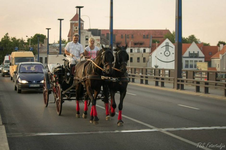 Kauno gatvėmis riedanti karieta – atrakcija ir turistams