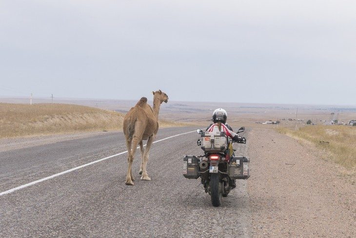 Įspūdinga lietuvių kelionė motociklais: per 640 dienų aplankė 45 šalis