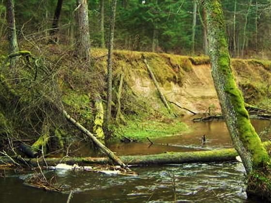 Vasara Lietuvoje: TOP 5 baidarių maršrutai