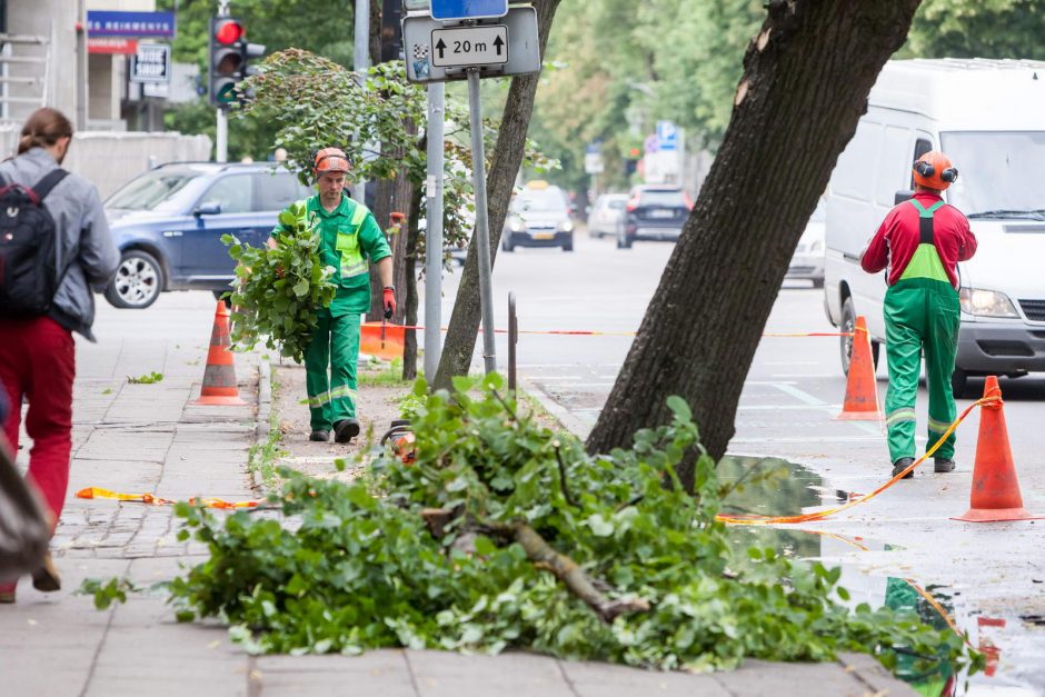 Vilniuje tvarkomi grėsmę keliantys seni medžiai