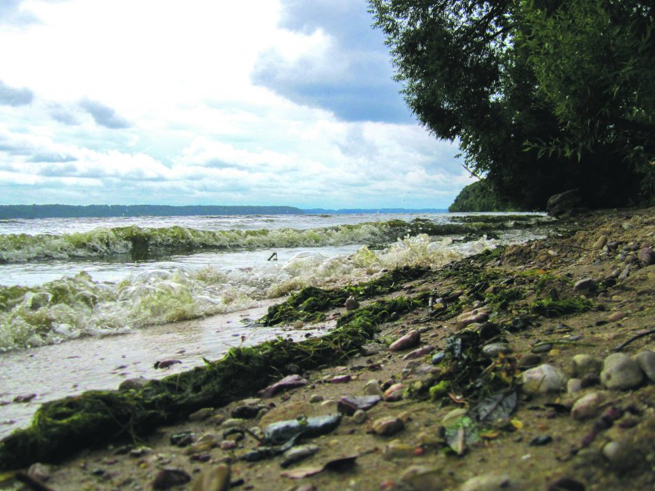 Išmėginkite šį maršrutą Kauno marių lanku