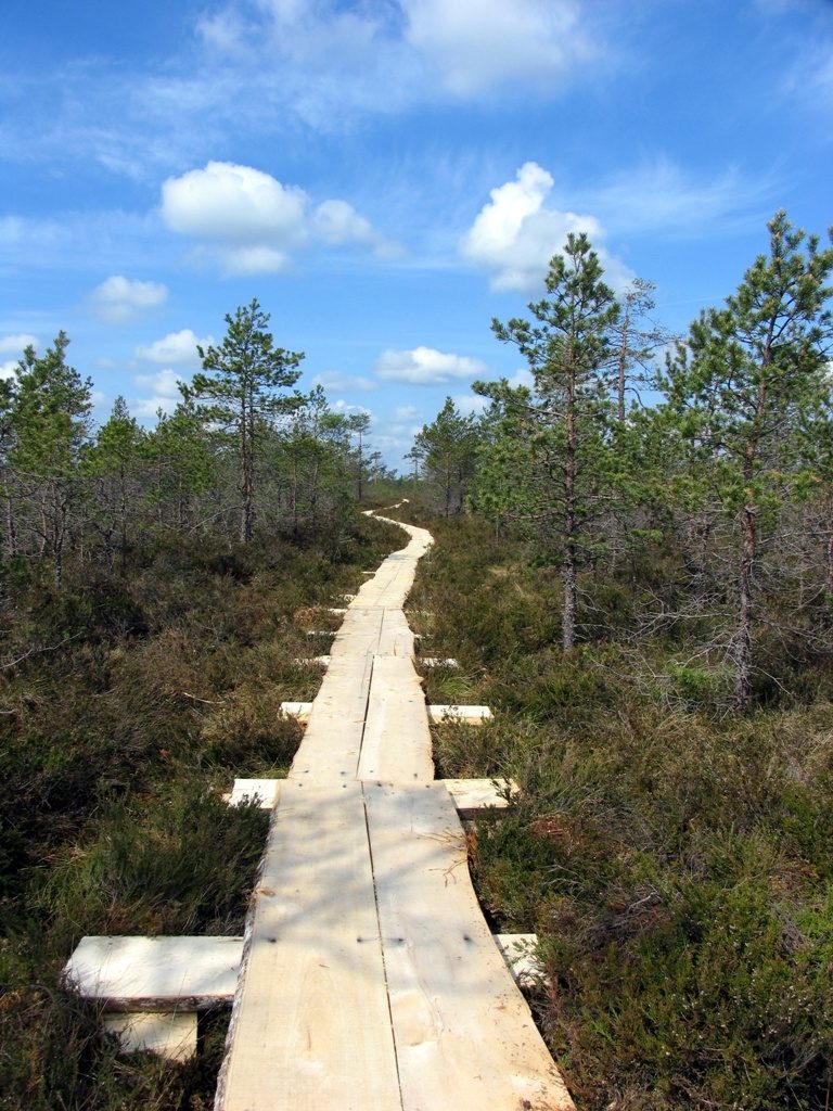 Pagramančio regioniniame parke – naujas lankytojų centras