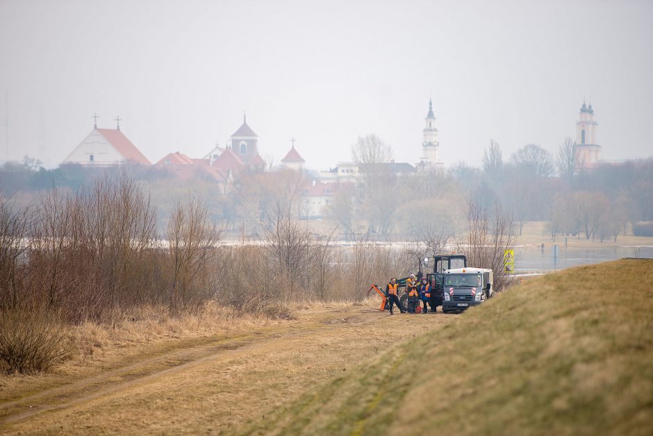 Nuo brūzgynų Kaune bus išvalyta dar viena pakrantė