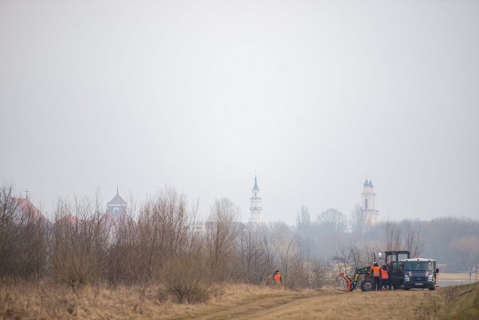 Nuo brūzgynų Kaune bus išvalyta dar viena pakrantė