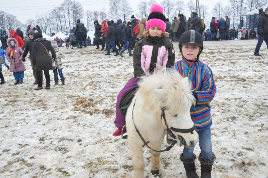 Dusetų hipodrome jau liejamas ledas