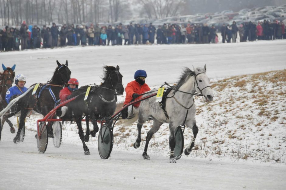 Dusetų hipodrome jau liejamas ledas