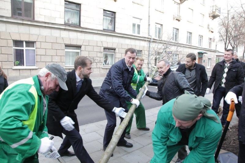 Šermukšnių gatvėje pasodinti šermukšniai