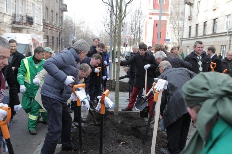 Šermukšnių gatvėje pasodinti šermukšniai