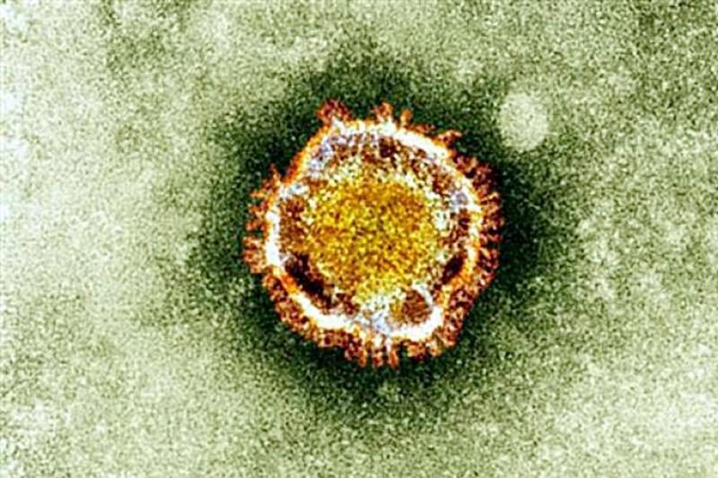 Naujasis koronavirusas gali būti perduodamas vieno žmogaus kitam?