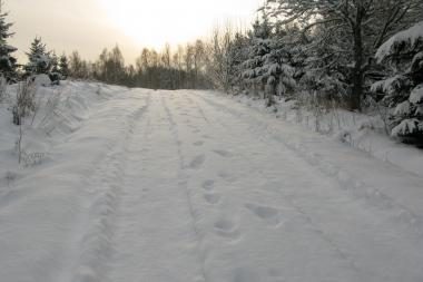 Sniego audrų nebus, tačiau šals