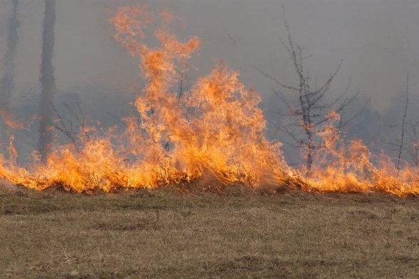 Žolės degintojai atidarė sezoną