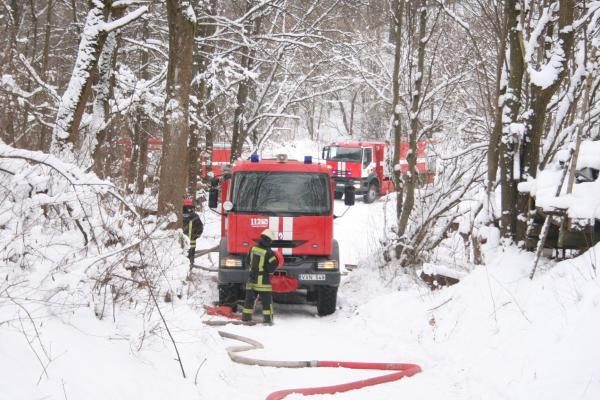 Klaipėdos rajone sudegė vištos ir jautukai, o mieste padegtas kilimėlis