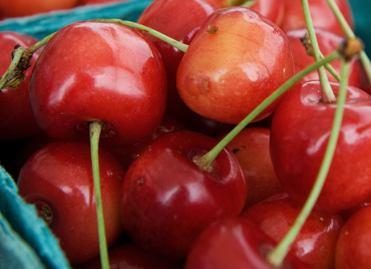 Vyšnių šventėje – garsiausi Vyšniauskai
