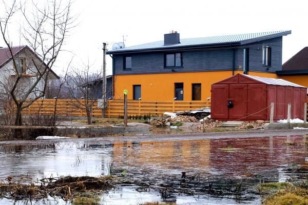 Aplinkosaugininkai neigia trukdantys kovoti su potvyniu