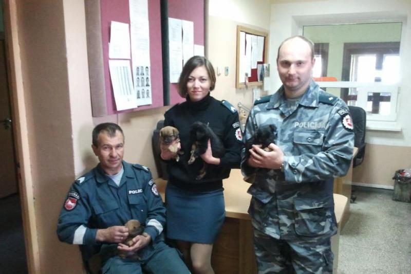 Policininkų išgelbėti šuniukai surado naujus šeimininkus
