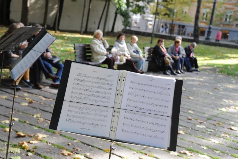 Žemaitės skvere skambėjo rimtoji muzika 