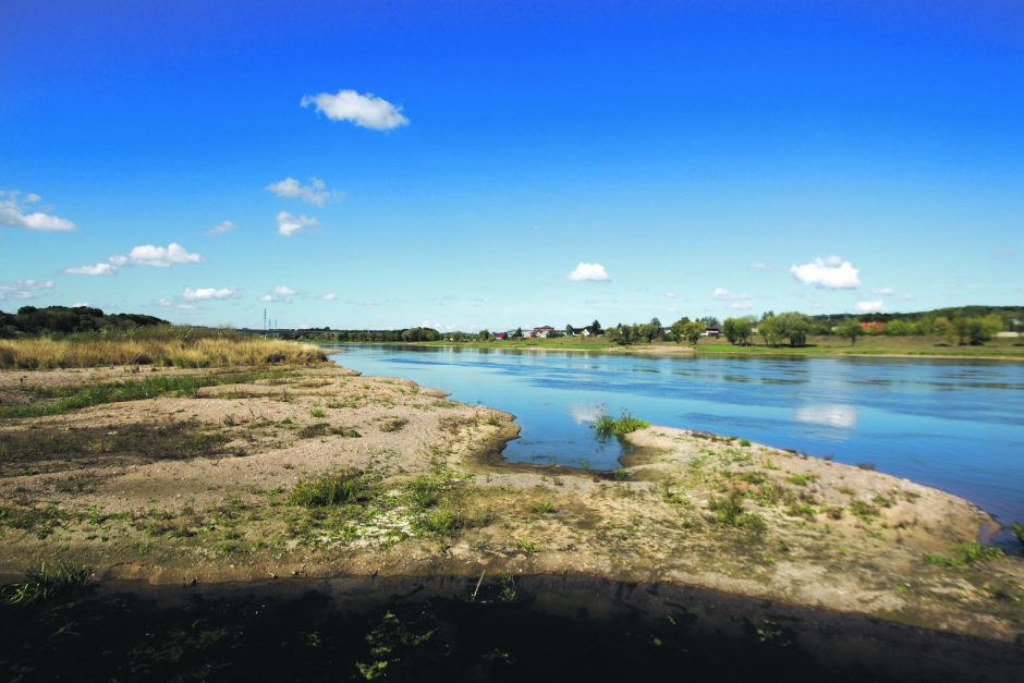 Kroviniai Nemunu keliaus tik po įstatymo pataisų