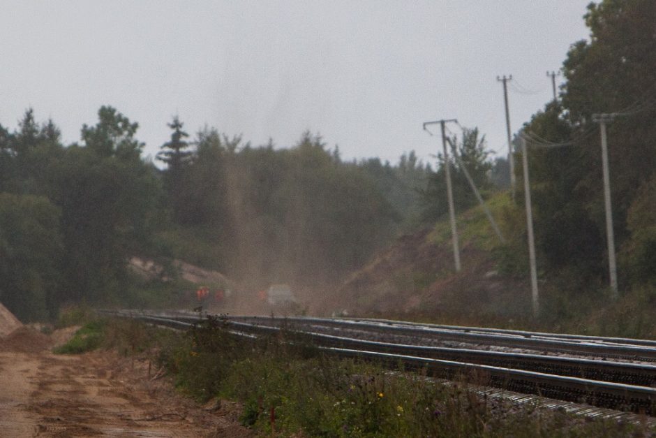 „Rail Baltica“ trasoje ties Garliava aptiktas pavojingas radinys